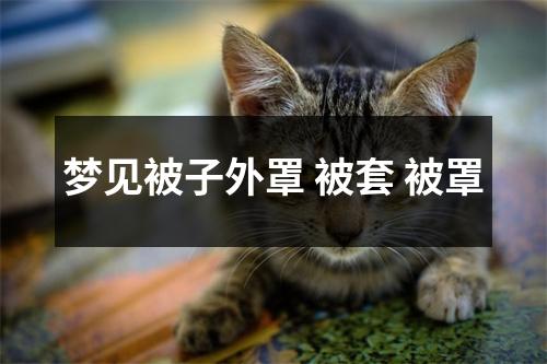 <h3>梦见被子外罩被套被罩
