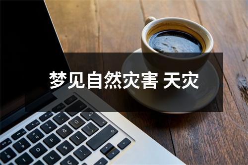 <h3>梦见自然灾害天灾