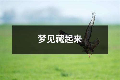 梦见藏起来