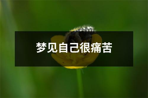 <h3>梦见自己很痛苦