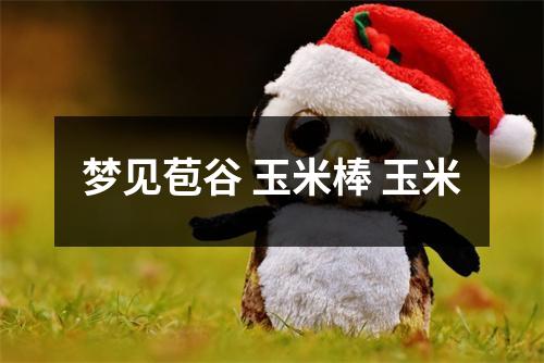 梦见苞谷玉米棒玉米