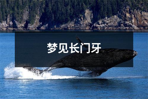 <h3>梦见长门牙