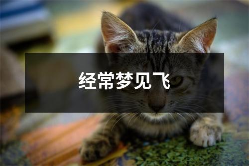 <h3>经常梦见飞
