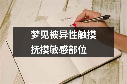 <h3>梦见被异性触摸抚摸敏感部位