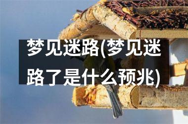 梦见迷路(梦见迷路了是什么预兆)