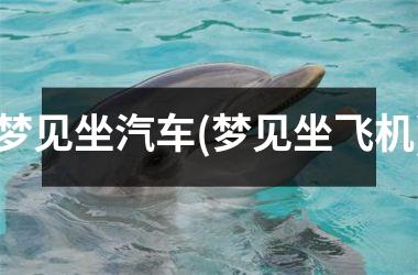 <h3>梦见坐汽车(梦见坐飞机)
