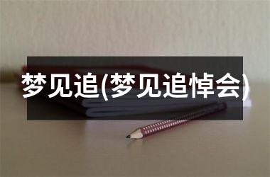 梦见追(梦见追悼会)