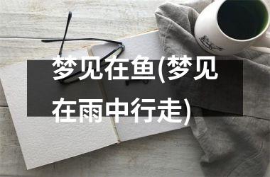 <h3>梦见在鱼(梦见在雨中行走)