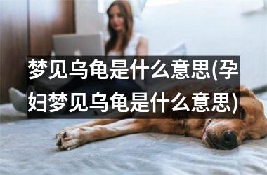 <h3>梦见乌龟是什么意思(孕妇梦见乌龟是什么意思)