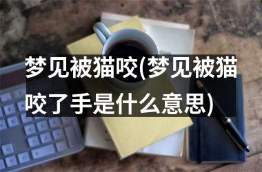 <h3>梦见被猫咬(梦见被猫咬了手是什么意思)