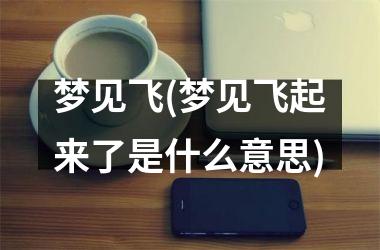 <h3>梦见飞(梦见飞起来了是什么意思)