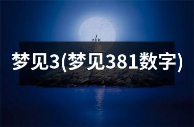 <h3>梦见3(梦见381数字)
