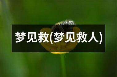 梦见救(梦见救人)