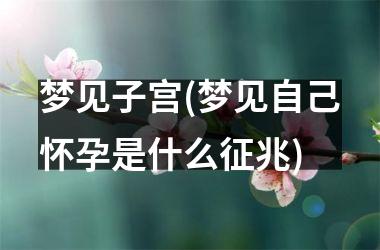 <h3>梦见子宫(梦见自己怀孕是什么征兆)