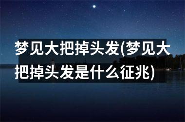 <h3>梦见大把掉头发(梦见大把掉头发是什么征兆)