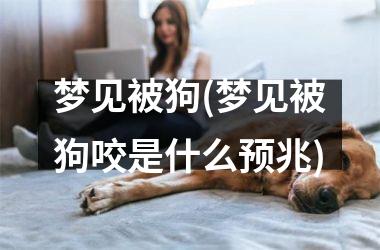 <h3>梦见被狗(梦见被狗咬是什么预兆)