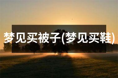 <h3>梦见买被子(梦见买鞋)