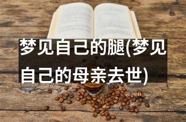 <h3>梦见自己的腿(梦见自己的母亲去世)