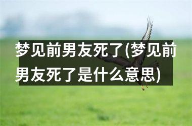 <h3>梦见前男友死了(梦见前男友死了是什么意思)