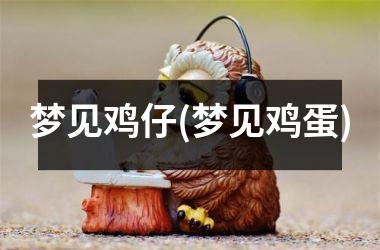 <h3>梦见鸡仔(梦见鸡蛋)