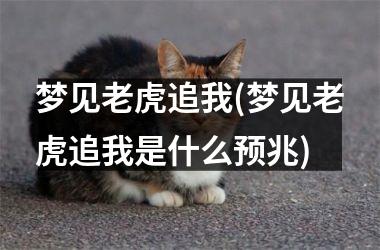 梦见老虎追我(梦见老虎追我是什么预兆)