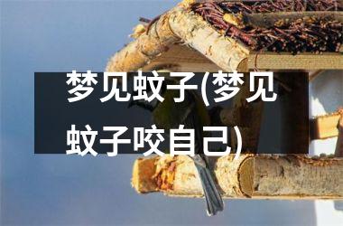 梦见蚊子(梦见蚊子咬自己)