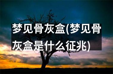 <h3>梦见骨灰盒(梦见骨灰盒是什么征兆)