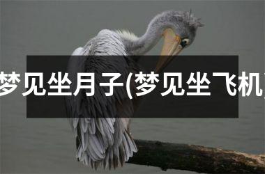 <h3>梦见坐月子(梦见坐飞机)