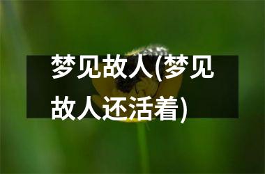 <h3>梦见故人(梦见故人还活着)