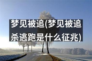 <h3>梦见被追(梦见被追杀逃跑是什么征兆)