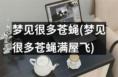 <h3>梦见很多苍蝇(梦见很多苍蝇满屋飞)
