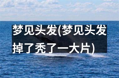 <h3>梦见头发(梦见头发掉了秃了一大片)