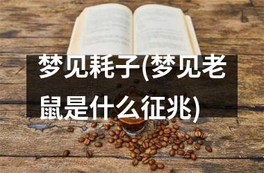 <h3>梦见耗子(梦见老鼠是什么征兆)