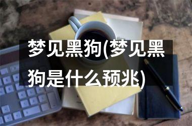 <h3>梦见黑狗(梦见黑狗是什么预兆)