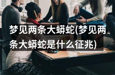 <h3>梦见两条大蟒蛇(梦见两条大蟒蛇是什么征兆)