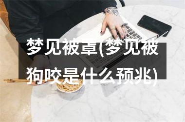 <h3>梦见被罩(梦见被狗咬是什么预兆)