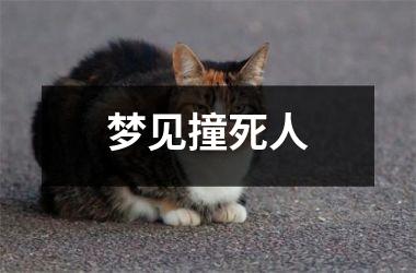 <h3>梦见撞死人