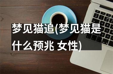 梦见猫追(梦见猫是什么预兆 女性)