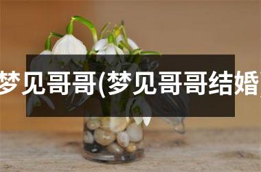 <h3>梦见哥哥(梦见哥哥结婚)