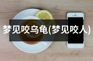 梦见咬乌龟(梦见咬人)