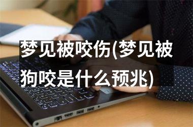 <h3>梦见被咬伤(梦见被狗咬是什么预兆)