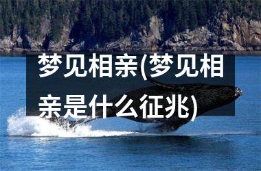<h3>梦见相亲(梦见相亲是什么征兆)