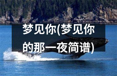 <h3>梦见你(梦见你的那一夜简谱)