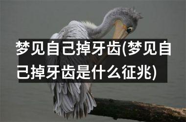 <h3>梦见自己掉牙齿(梦见自己掉牙齿是什么征兆)