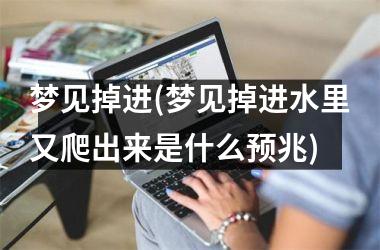 <h3>梦见掉进(梦见掉进水里又爬出来是什么预兆)