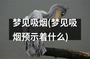 <h3>梦见吸烟(梦见吸烟预示着什么)