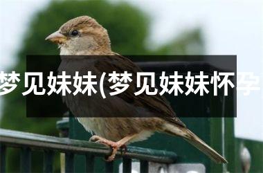 <h3>梦见妹妹(梦见妹妹怀孕)