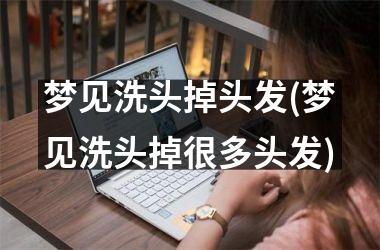 <h3>梦见洗头掉头发(梦见洗头掉很多头发)