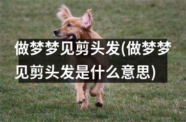 <h3>做梦梦见剪头发(做梦梦见剪头发是什么意思)
