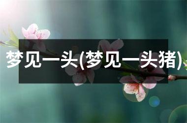 <h3>梦见一头(梦见一头猪)